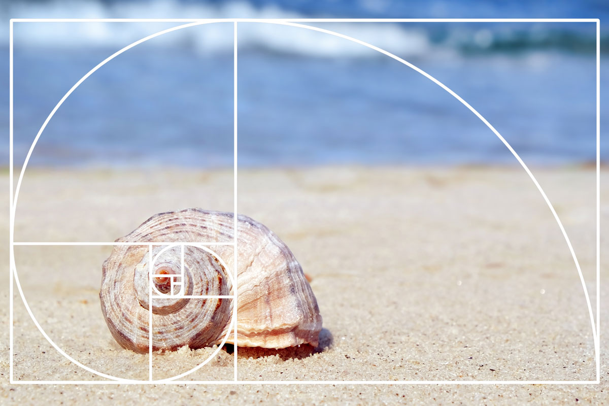 Golden Ratio Math or Art The Edge